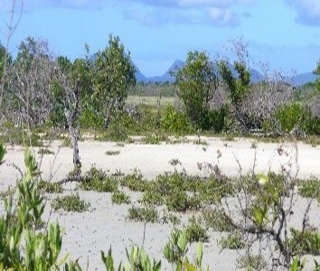 photo-climat-sec-martinique