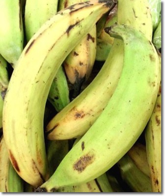 photo-banane-plantain-martinique