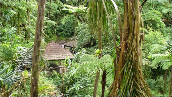 photo-fonds-saint-denis-martinique-1.jpg