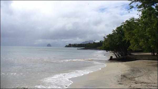 photo-sainte-luce-anse-mabouya-martinique.jpg