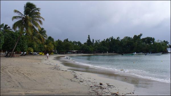 photo-sainte-luce-anse-corps-de-garde-martinique.jpg